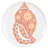 CAPRI COASTER S/4