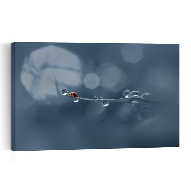 Ladybug'S Dewy Path Delicate Peaceful Serene Ladybug Nature Landscape Wall Art Print 1 Piece Wrapped Canvas Wall Art