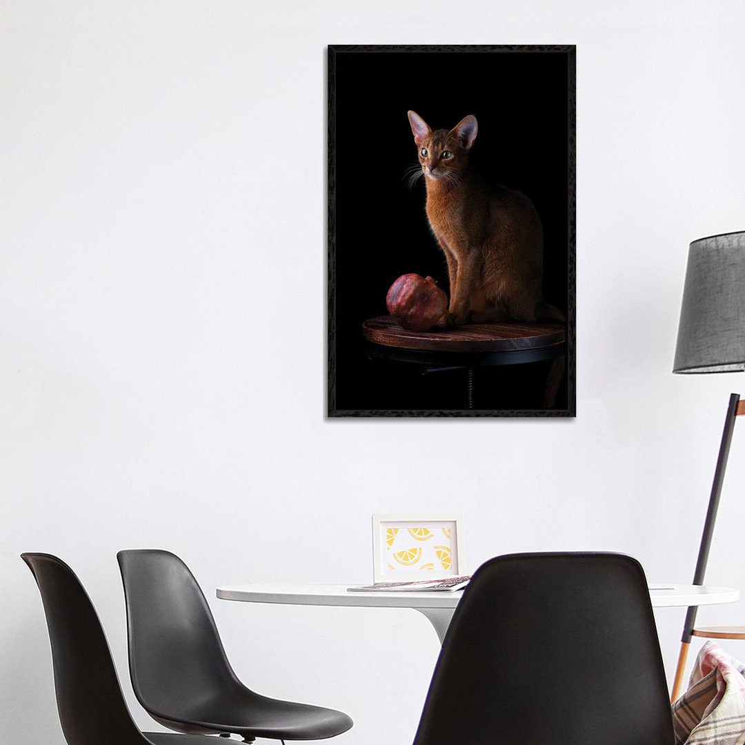 Abessinierkatze und Granatapfel von Nailia Schwarz - Galerie-umwickelte Leinwand Giclée auf Leinwand