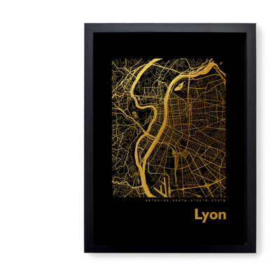 Lyon Map - Single Picture Frame Print