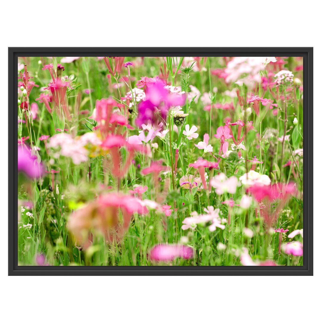 Gerahmtes Wandbild Wundervolle Blumenwiese