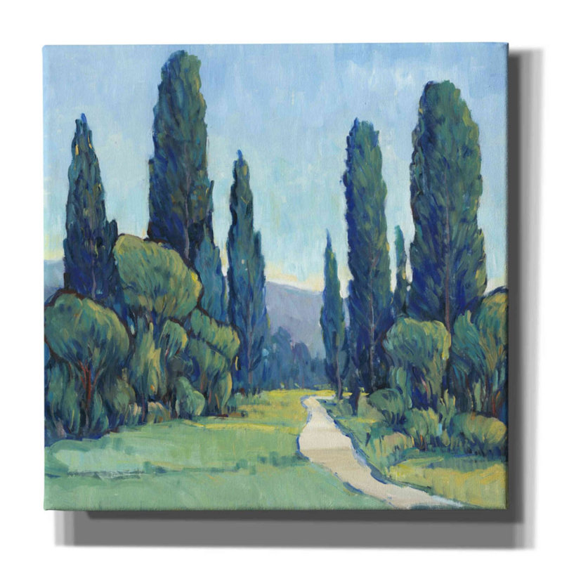 «Cypress Path II» par Tim O'toole, art mural sur toile, H 12 po x l 12 po x P 0,75 po