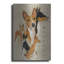 "Basenji" par Barbara Keith-1767971311