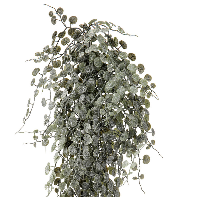Buisson de 38 po