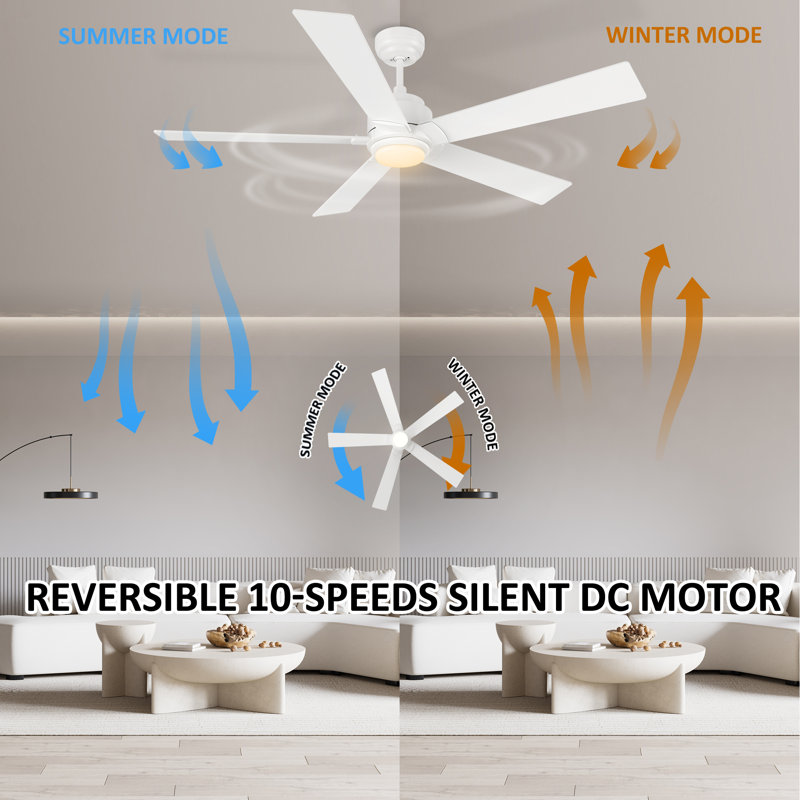 56" 5 - Blade LED Smart Ceiling Fan with Light, White, White