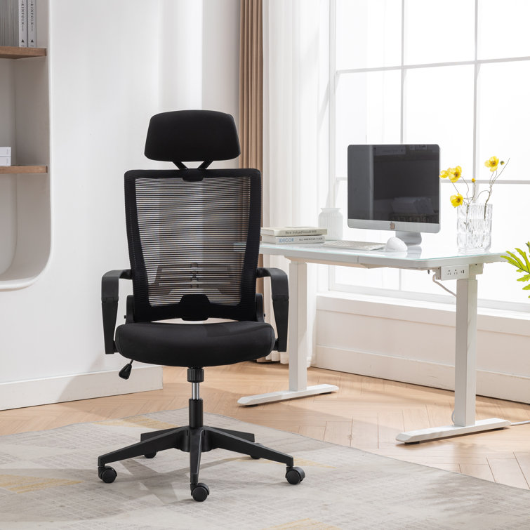 https://assets.wfcdn.com/im/12855162/resize-h755-w755%5Ecompr-r85/2595/259562419/Lillyona+Ergonomic+Mesh+Office+Chair+with+Headrest+and+Foldable+Backrest.jpg