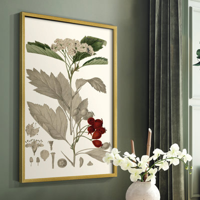 «Leaves & Berries I», reproduction encadrée - bois massif