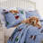 Greenland Home Fashions Winter Whiskers Blue 3-Piece Queen Size Quilt Set 90x90 + 20x26 (2)-115992932