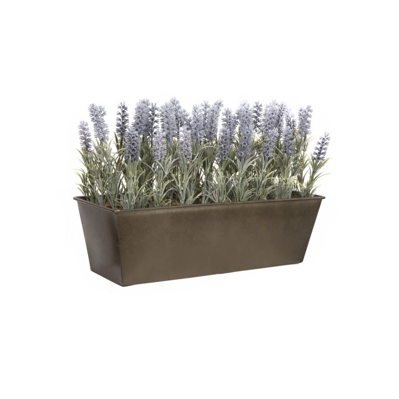 Lavender in Rustic Tin Planter (Window Box), 46.5cm H x 31.5cm W x 16.5cm D, Rustic Brown