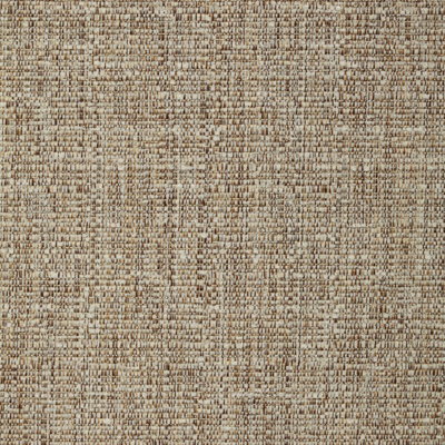 Performance Crypton Home Fabric