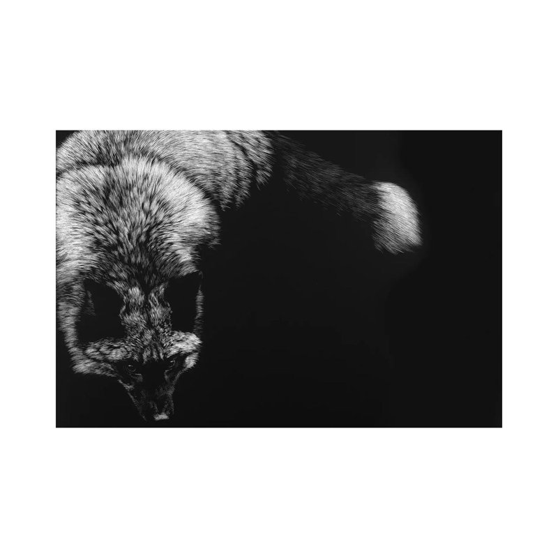 Wild Scratchboard III by Julie T. Chapman - Wrapped Canvas Gallery-Wrapped Canvas Giclée, 66.04 cm H x 45.72 cm W