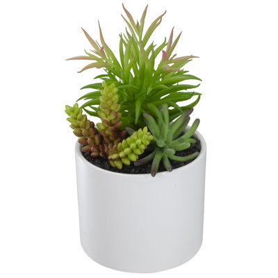 Arrangement de plantes grasses artificielles 9 po dans un pot en céramique blanche