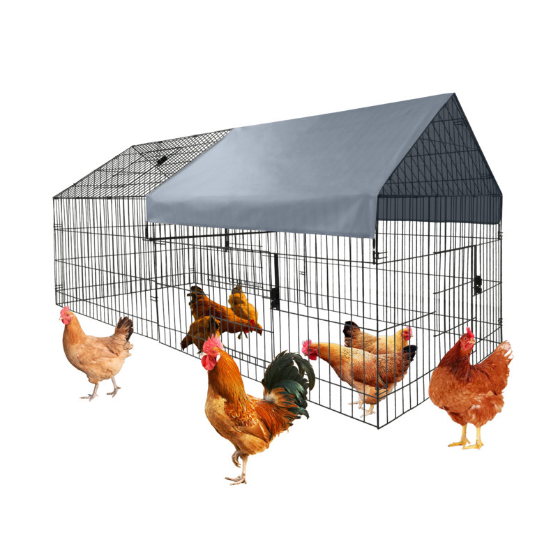 Small Animal Cage