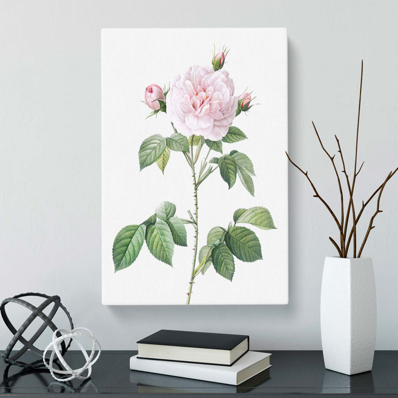 Royal Rose by Pierre-Joseph Redoute - Wrapped Canvas Painting, 50cm H x 35cm W x 3cm D