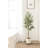 Jibbs Scalloped Round Indoor Planter Pot