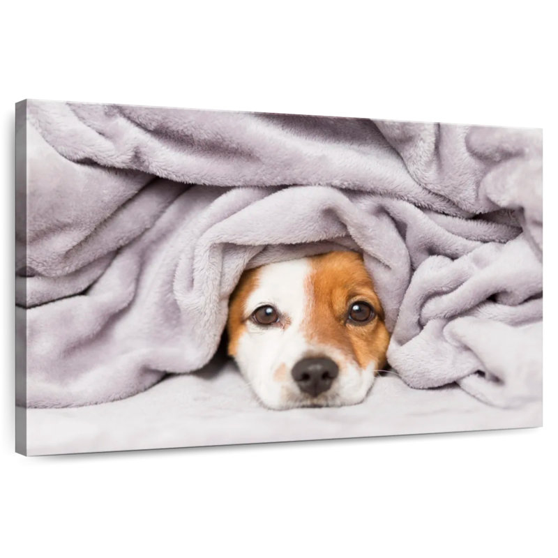 Brampt Blanket Bundled Dog, 26" H x 39" W