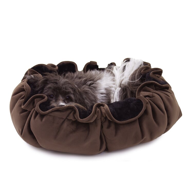 https://assets.wfcdn.com/im/12857367/resize-h755-w755%5Ecompr-r85/8362/83621929/Lily+Polyester+Pet+Bed.jpg