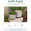 Succulent Pots, pot de fleurs d'intérieur en céramique de 6 + 8 pouces avec pied, pot de fleurs décoratif rond moderne, cadeaux pour maman, ensemble de 4, blanc avec rayures grises