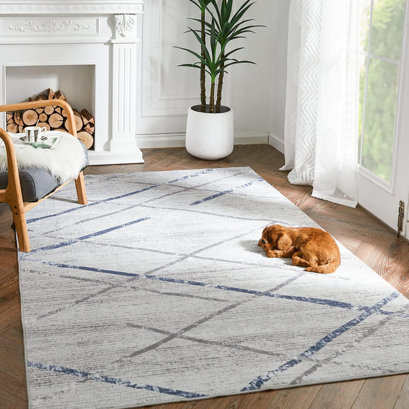 Sharenda Chenille Mashine Washable Vintage Indoor Arae Rug with Non-Slip Backing for Bedroom Living Room Kitchen Entryway