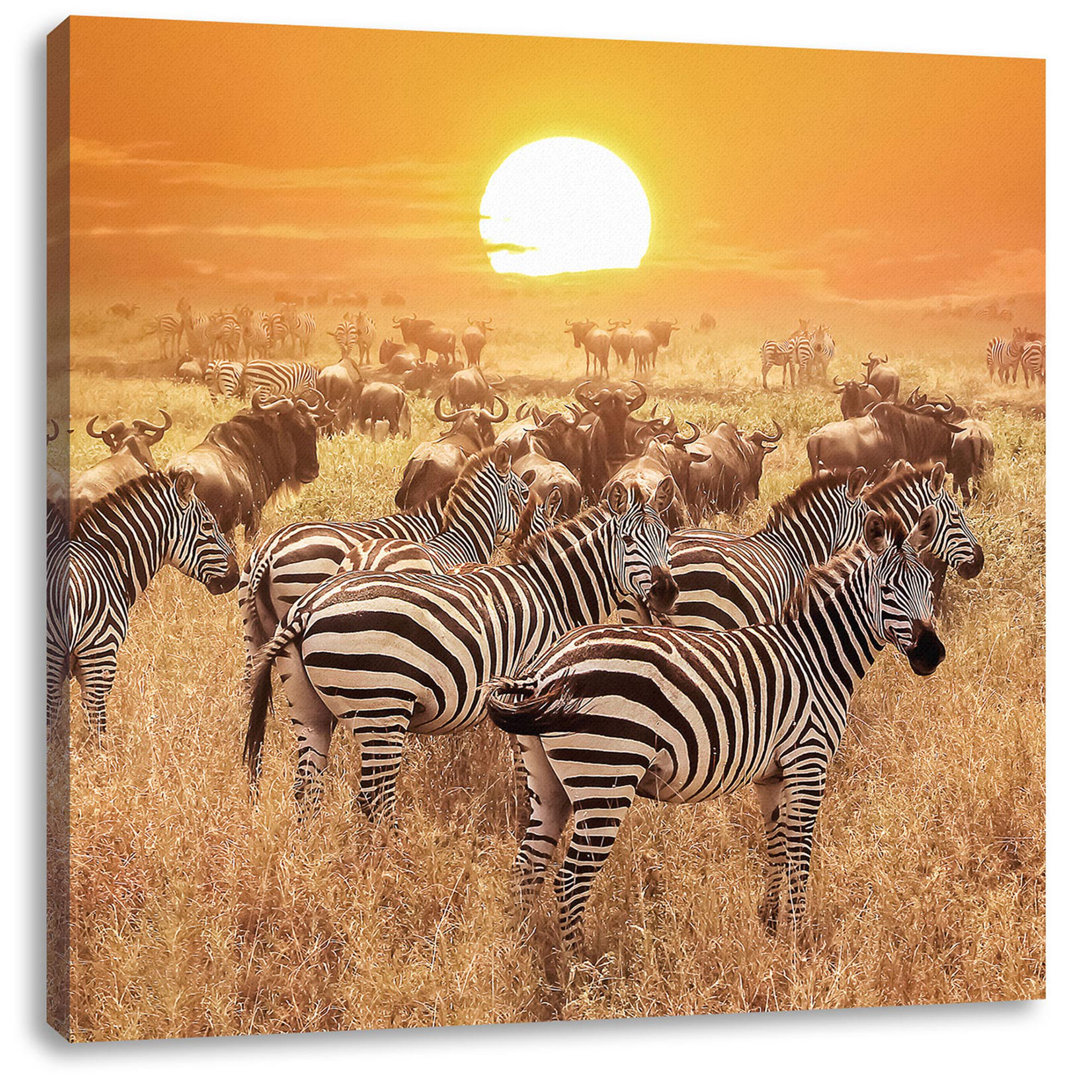 Leinwandbild Zebra Herd Savannah at Sunset