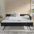 Full Size Daybed With Trundle Upholstered Tufted Sofa Bed, Sofa Bed Frame With Comfortable Backrest And Armrests, Velvet(79.5''X58''x25'')