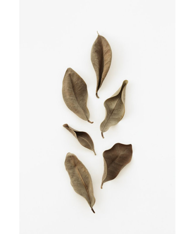 Wrapped Canvas Print, 91.44 cm H x 60.96 cm W