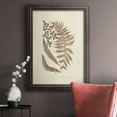 Sépia fougères III - reproduction d'art sur toile