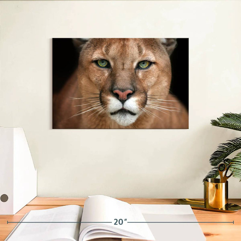 Crowle Staring Puma, 8" H x 12" W