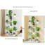 Plant Stand-845638618