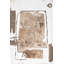 California Contemporary 2 Print