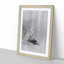 Egrets at the Waters Edge by Watanabe Seitei - Picture Frame Painting Print-55539548-55539546