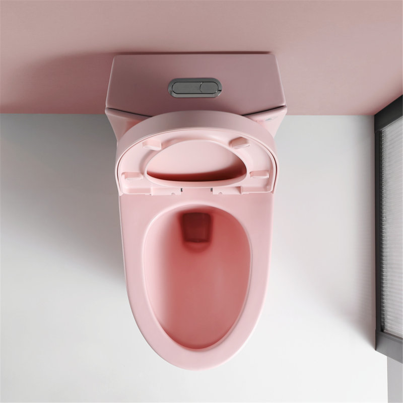 Creationstry GPF Elongated Bidet Toilet (Seat Included), Pink