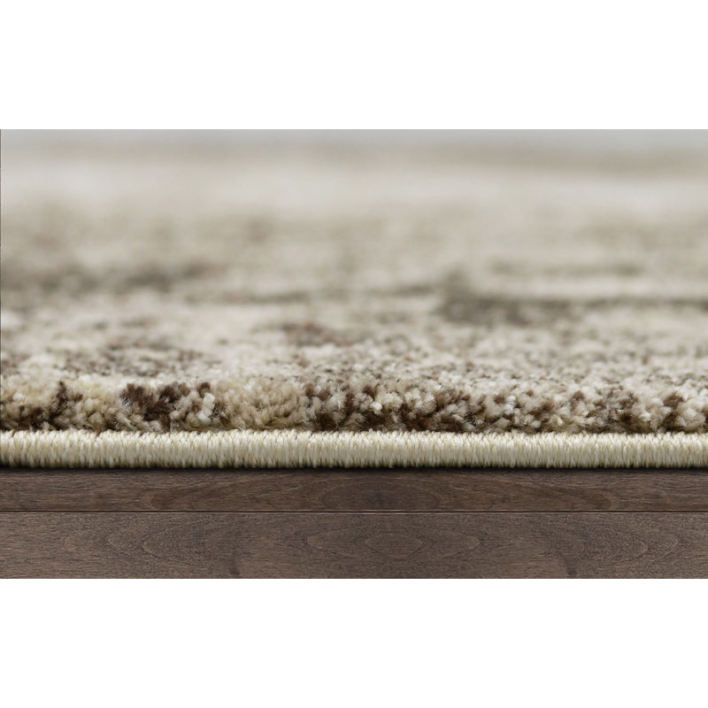 Indoor Rug