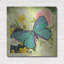  «Butterfly Visions With Bleed» par Jean Plout, art mural en métal, 36 po x 36 po-443000402