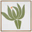 Protea-1635068833-1635068834-1635068836