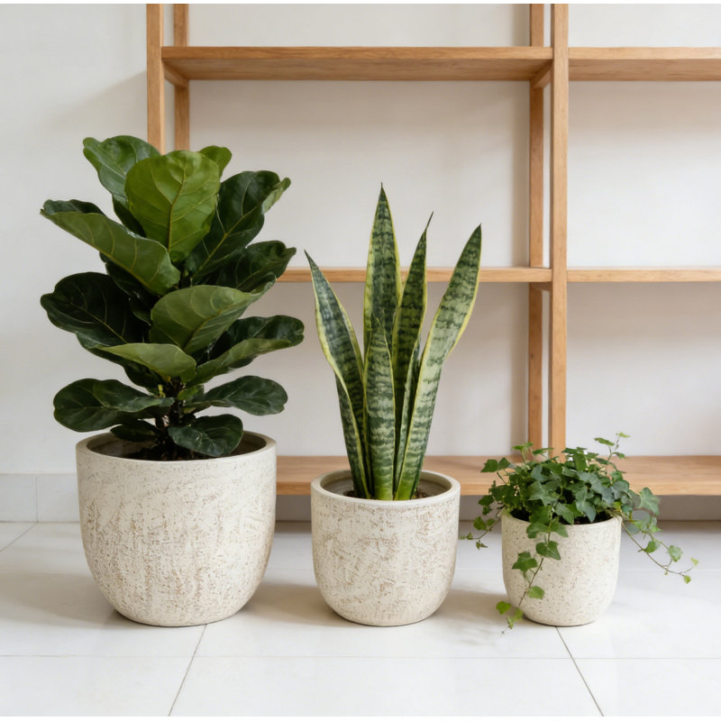 Ensemble de 3 pots à fleurs Mgo
