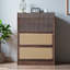Grande armoire à chaussures de rangement rétro