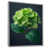 Silver Floater Framed