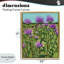 Cadre flottant Ruby Throated Hummingbird & Beebalm, design par Sarah Waldron Kimball-97777014-97777009