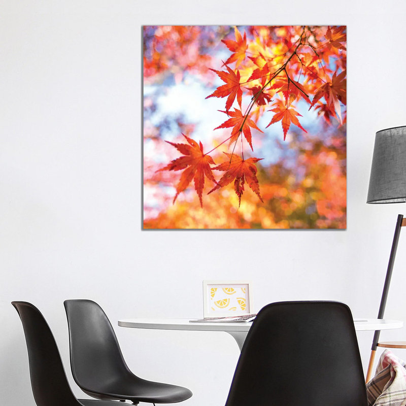 Japanese Maple Tree In Autumn by Jan Becke - Wrapped Canvas Print, 93.98 cm H x 93.98 cm W x 3.175 cm D