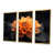 Toile avec cadre flottant or