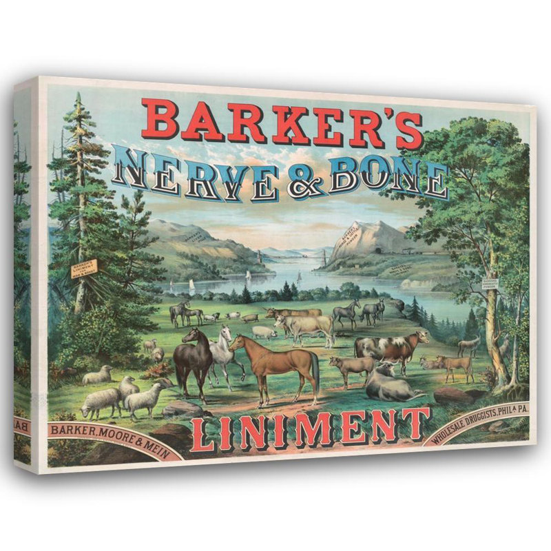 "Barker's Nerve & Bone Liniment" by  Thomas Hunter, Lith. - Gallery Wrap Canvas Wall Art, 18" H x 14" W