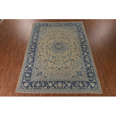 Vintage Distressed Traditional Area Rug 10x13