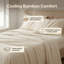 Ensemble de draps 4 pièces en microfibre de bambou crème à poche profonde hypoallergénique