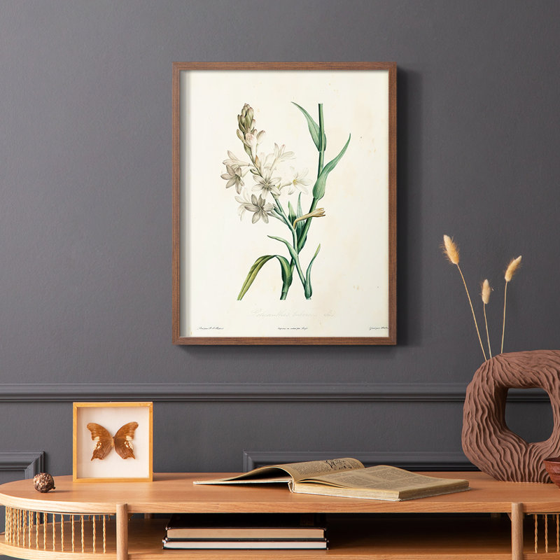 «Traditional Botanical IV», reproduction encadrée - bois massif, Brun, H 14 po x l 11 po