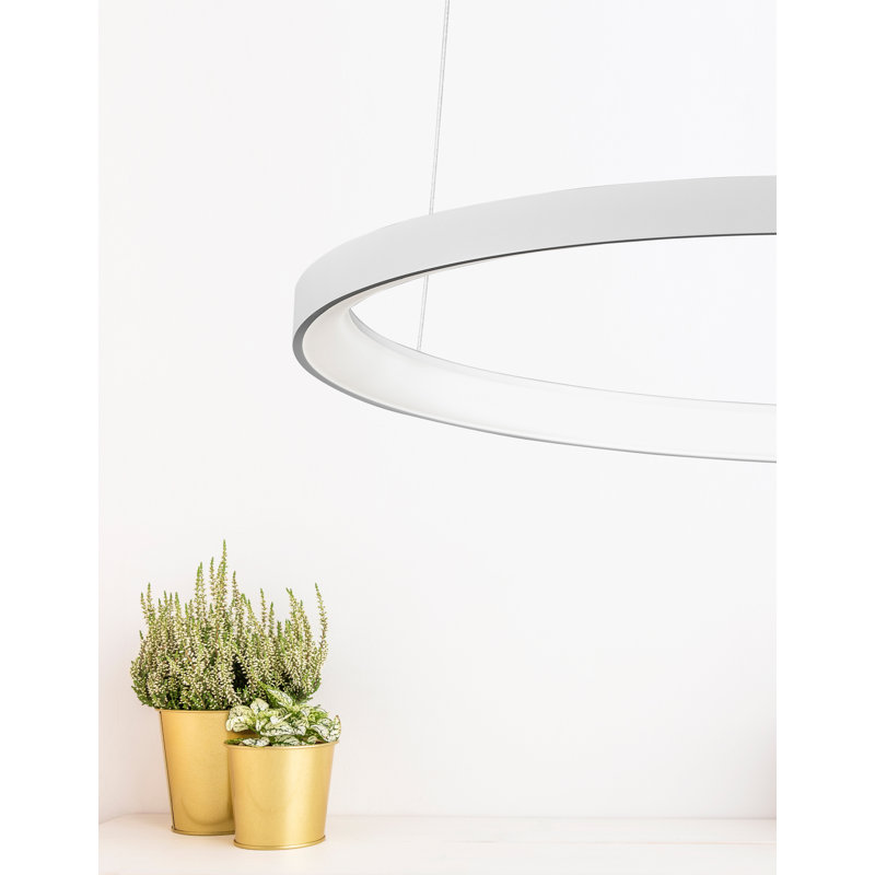 1 - Light LED Single Pendant, 3.5cm H x 78cm W x 78cm D, White