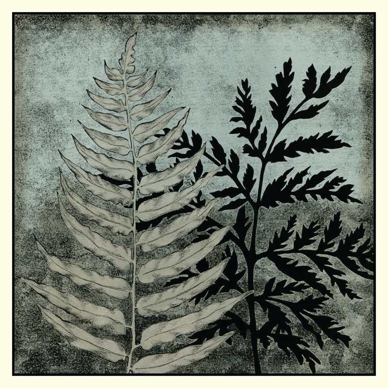 Illuminated Ferns VI by Megan Meagher - Wrapped Canvas Print, 91cm H x 91cm W x 3.8cm D