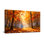 Plantes et fleurs, forêt d'automne, lumière du soleil, feuilles, arbres, couleurs chaudes, scène naturelle