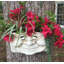 Pot à fleurs mural «Old Hickory» et grand-mère «Violet» par Muggly's Grandpa-822555055