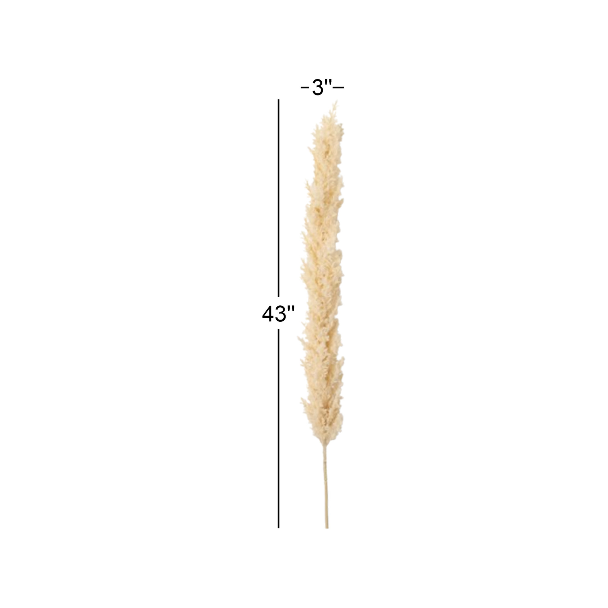 Madie Plume Stems, Off-White